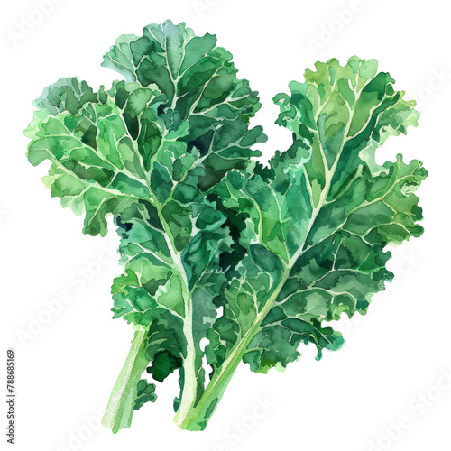 vegetable - Kale is particularly high in vitamins A, C, and K, as well as manganese and fiber.