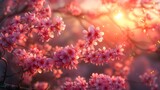   A tight shot of pink blossoms on a tree, sun rays filtering through distant trees behind