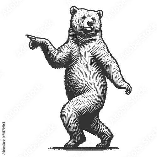 Dancing standing bear pointing with its paw sketch engraving generative ai fictional character vector illustration. Scratch board imitation. Black and white image.