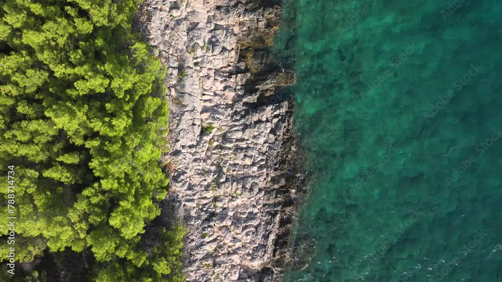 TOP DOWN: Picturesque view of the lush Mediterranean vegetation, rocky beach and turquoise sea on a sunny summer day in Dalmatia. Pine tree forests meet the crystal clear waters of the Adriatic sea. TOP DOWN: Picturesque view of the lush Mediterranean vegetation, rocky beach and turquoise sea on a sunny summer day in Dalmatia. Pine tree forests meet the crystal clear waters of the Adriatic sea.