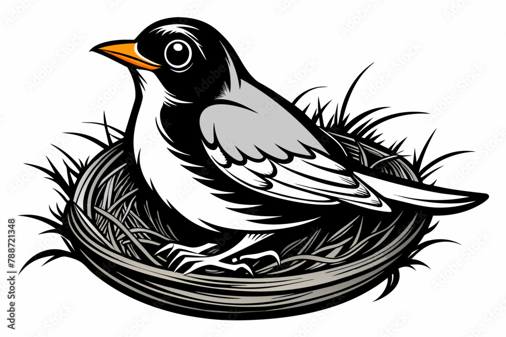 Naklejka premium Black and white, Robin bird sit in nest, on white background