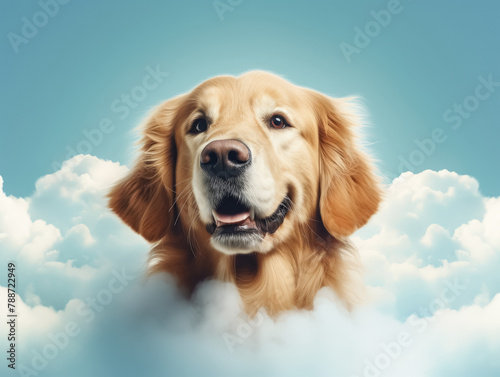 A dog is blowing bubbles in the air. The bubbles are floating above the dog's head, and the dog is looking up at them. The scene is playful and lighthearted