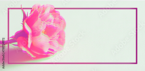Pink flower greeting border on background for mothers day with copy space.