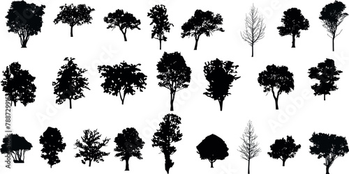 silhouette tree line drawing set, Side view, set of graphics trees elements outline symbol for architecture and landscape design drawing photo