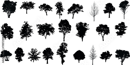 silhouette tree line drawing set, Side view, set of graphics trees elements outline symbol for architecture and landscape design drawing