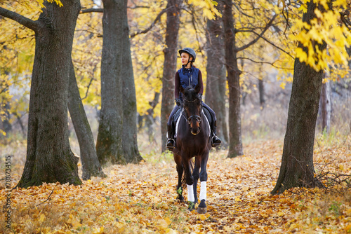 Young pretty girl riding horse in autumn park. © skumer