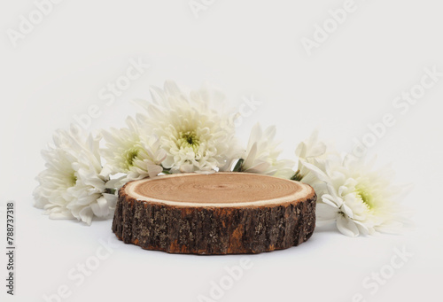 Wood circle stump, flower platform podium on light beige background. Minimal empty display product presentation scene.