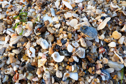 Multi-colored pebbles are seen at Tien Sa beach, next to Son Tra mountain, Da Nang, Vietnam photo