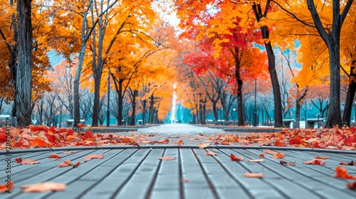   A park scene filled with leaves in shades of orange and yellow on the ground beneath trees