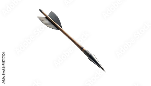 An arrow with a wooden shaft, a metal tip, and a feather fletching. photo