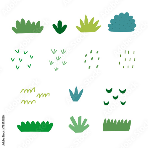 Set Hand Drawn Nature Grass and Bush. Botanical Vector Illustration