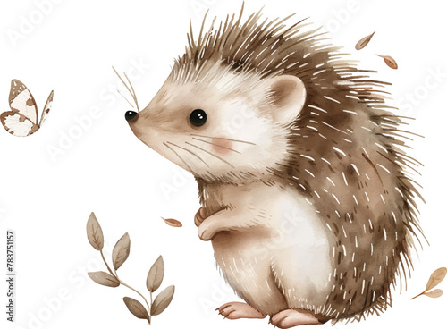 Cute hedgehog with a butterfly. Watercolor vector illustration