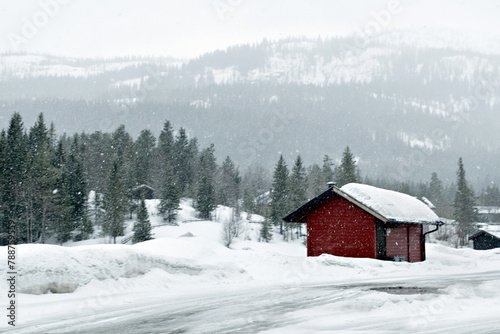 Snowy houses