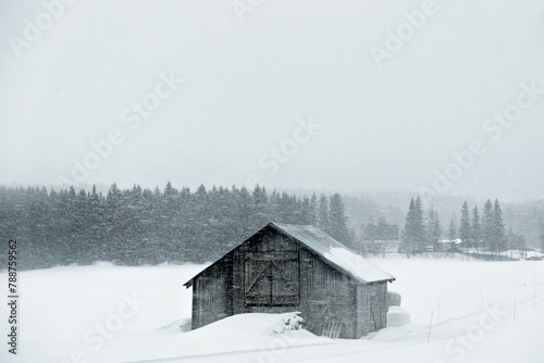 Snowy houses