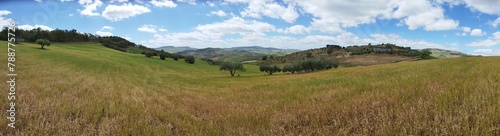 panorama of the mountains