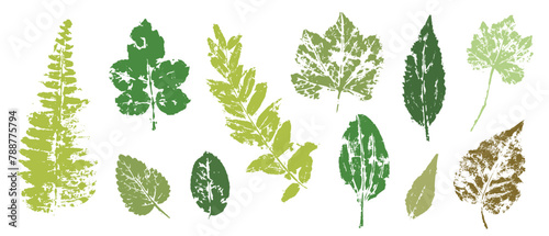 Prints, stamps of various leaves. Decorative botanical elements. Vector graphics.