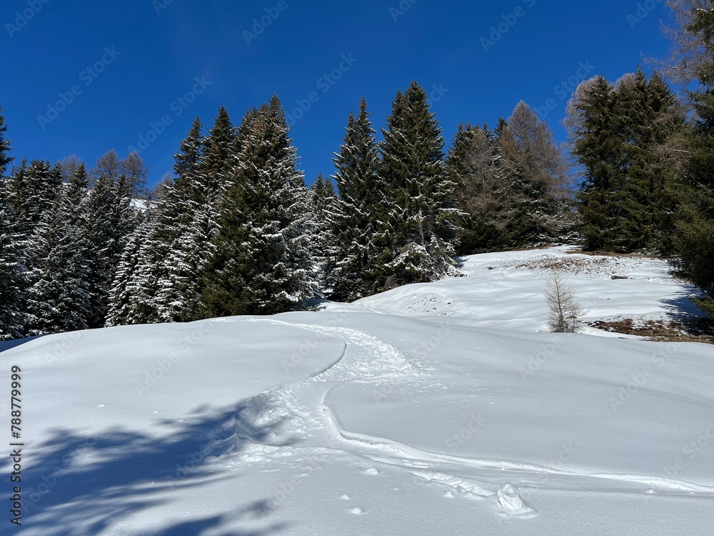 Wonderful winter hiking trails and traces after the winter snowfall above the tourist resorts of Valbella and Lenzerheide in the Swiss Alps - Canton of Grisons, Switzerland (Schweiz) Wonderful winter hiking trails and traces after the winter snowfall above the tourist resorts of Valbella and Lenzerheide in the Swiss Alps - Canton of Grisons, Switzerland (Schweiz)