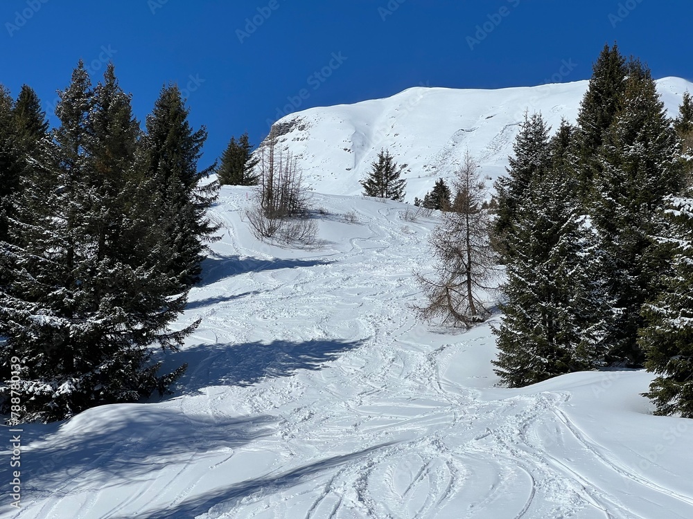 Wonderful winter hiking trails and traces after the winter snowfall above the tourist resorts of Valbella and Lenzerheide in the Swiss Alps - Canton of Grisons, Switzerland (Schweiz)
