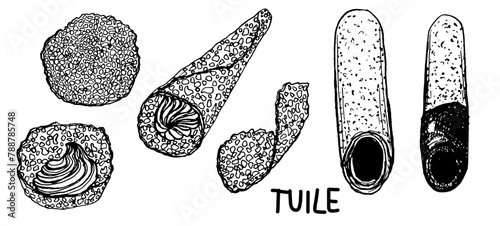 Tuile french pastries sweets hand drawn vector illustration for poster, print, home decoration, menu cover, invitation, design template. 