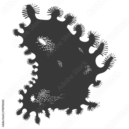 Silhouette amoeba animal black color only