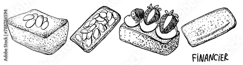 Financier french pastries sweets hand drawn vector illustration for poster, print, home decoration, menu cover, invitation, design template. 