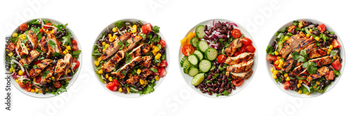 Set of A Brazilian Chicken and Black Bean Salad on a ,transparent background