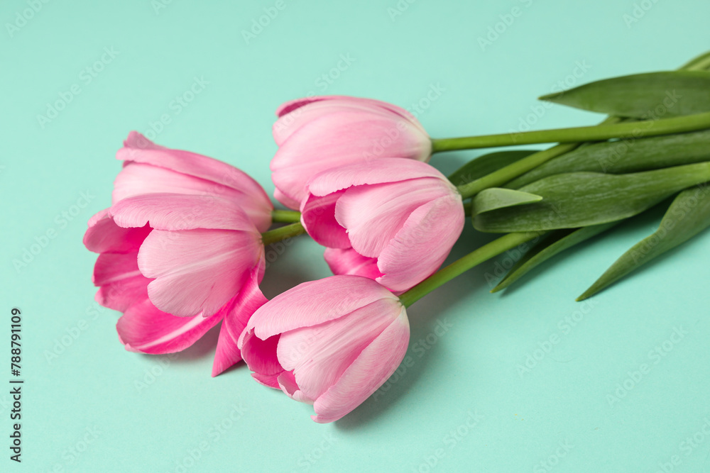 Beautiful pink tulips on turquoise background. Mother's Day celebration