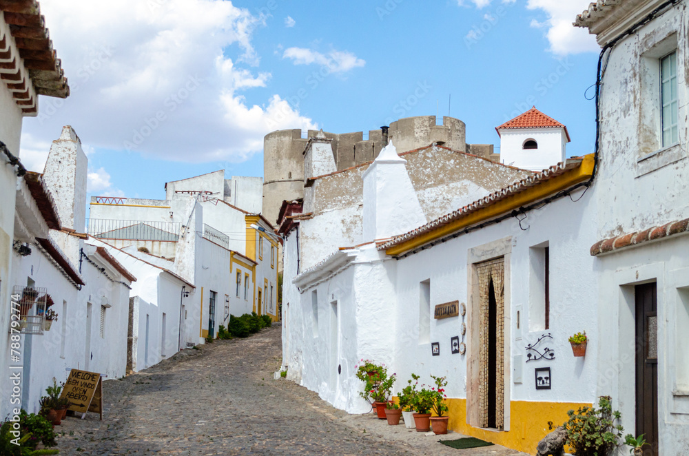 Fototapeta premium street with houses of traditional architecture in the medieval town of Evoramonte, Alentejo region. Portugal