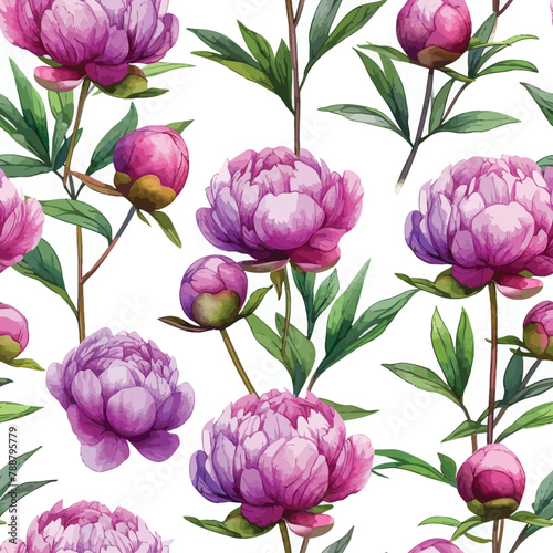 Vector Seamless Watercolor Pattern colorful Design with pink peony flowers 