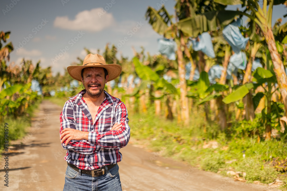 Portrait of a farmer in the middle of a banana plantation in the tropics of America.