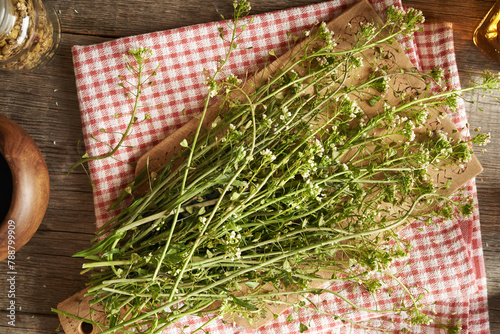 Blooming shepherd's purse herb on a table - ingredient for tincture