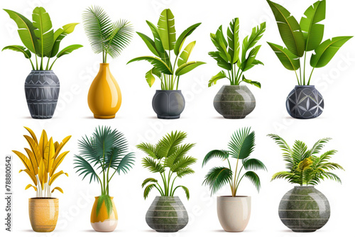Collection of tropical banana trees (Musa spp.) and coconut palm plants in colorful or gray vases, isolated on a transparent background. PNG cutout or clipping path vector icon, white background, blac photo