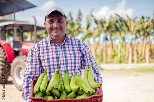Man in banana farm, holds green bananas in his hands.