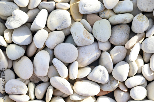 a group of young men and women laughing watching the cellphone screen
