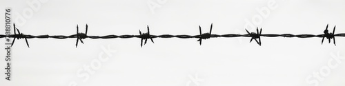 Barbed Wire Silhouette Against Grey Sky