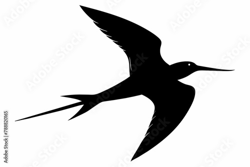 skimmer silhouette vector illustration