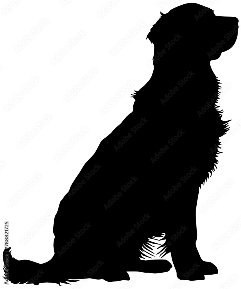Silhouette of a golden retriever dog in black, isolated Silhouette of a golden retriever dog in black, isolated