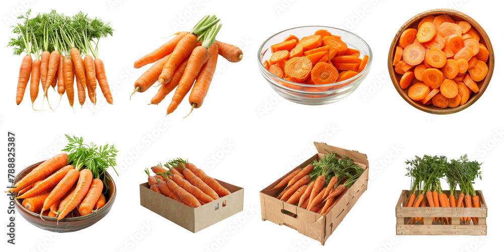 Carrot png collection in 3d transparent for product presentation.