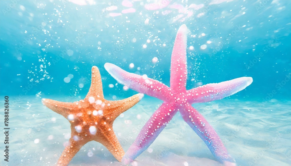 two starfish