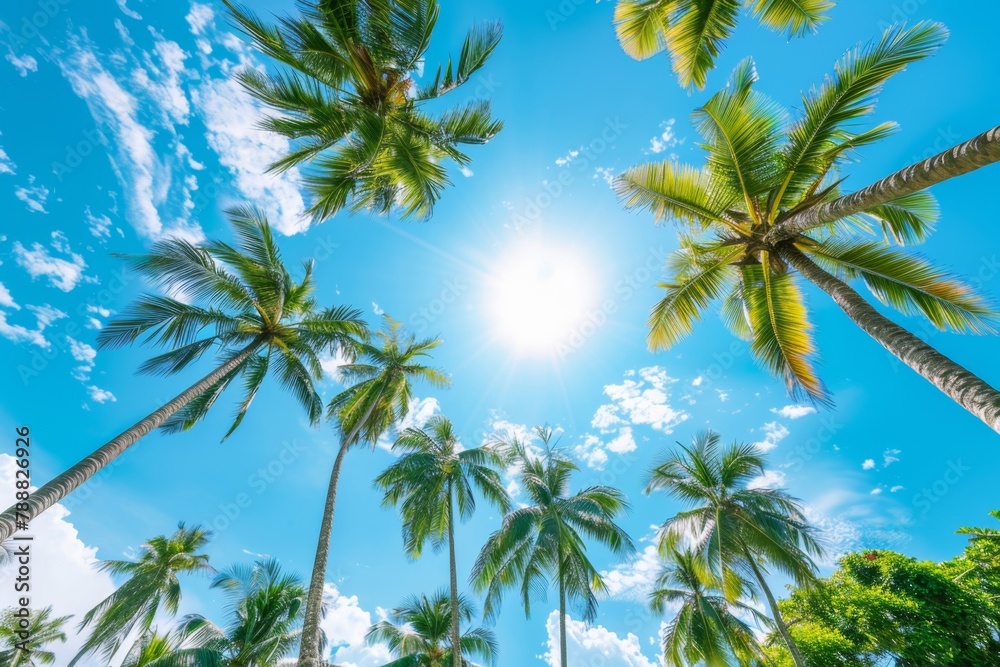 Palm trees are shown against a blue sky with clouds. Summer travel background 