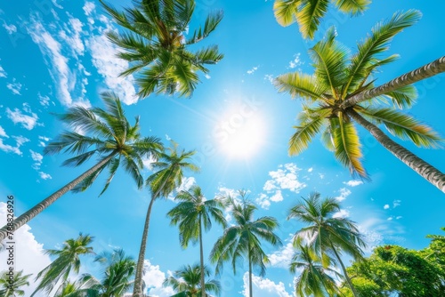 Palm trees are shown against a blue sky with clouds. Summer travel background 