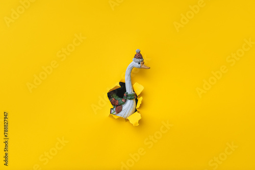 A figurine of a funny white goose peeks out from a torn hole in yellow paper. Christmas and New Year concept. photo