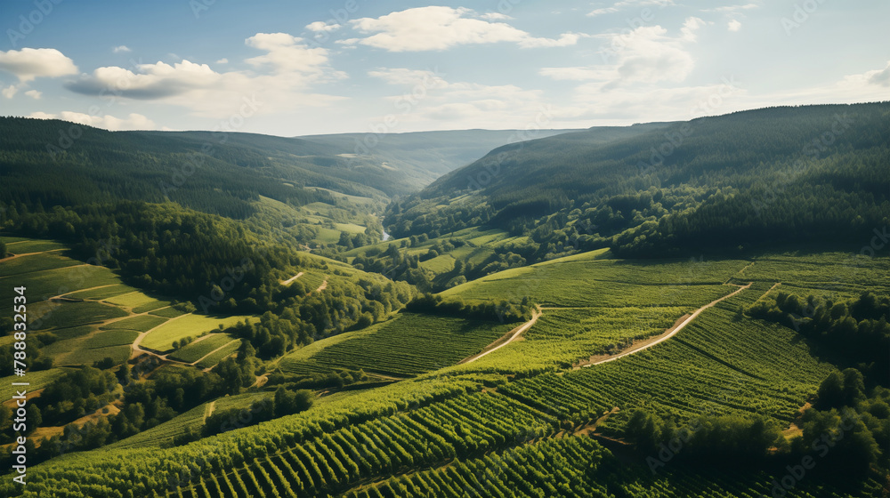 Beautiful summer landscape with green mountains and hills, vineyards, river and fields