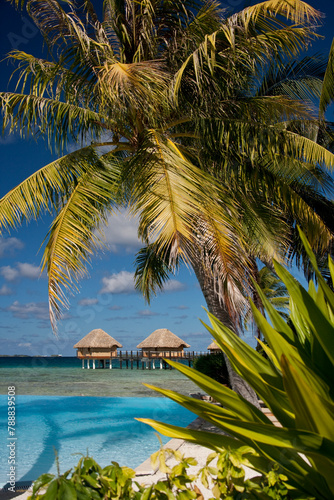 Tropical Island Paradise - French Polynesia