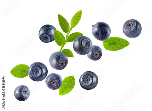 Fresh ripe bilberries and green leaves flying on white background