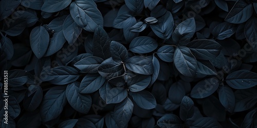 Botanical Background Design, Moody Black Leaves for Sophisticated Wallpaper