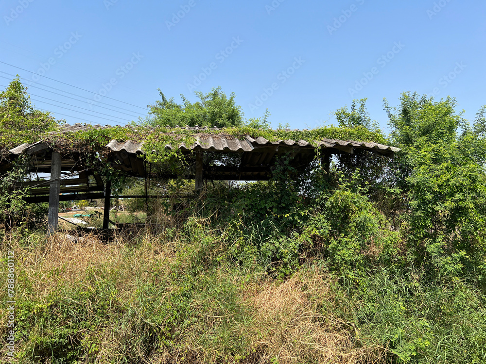 abandoned home in the forest abandoned home in the forest