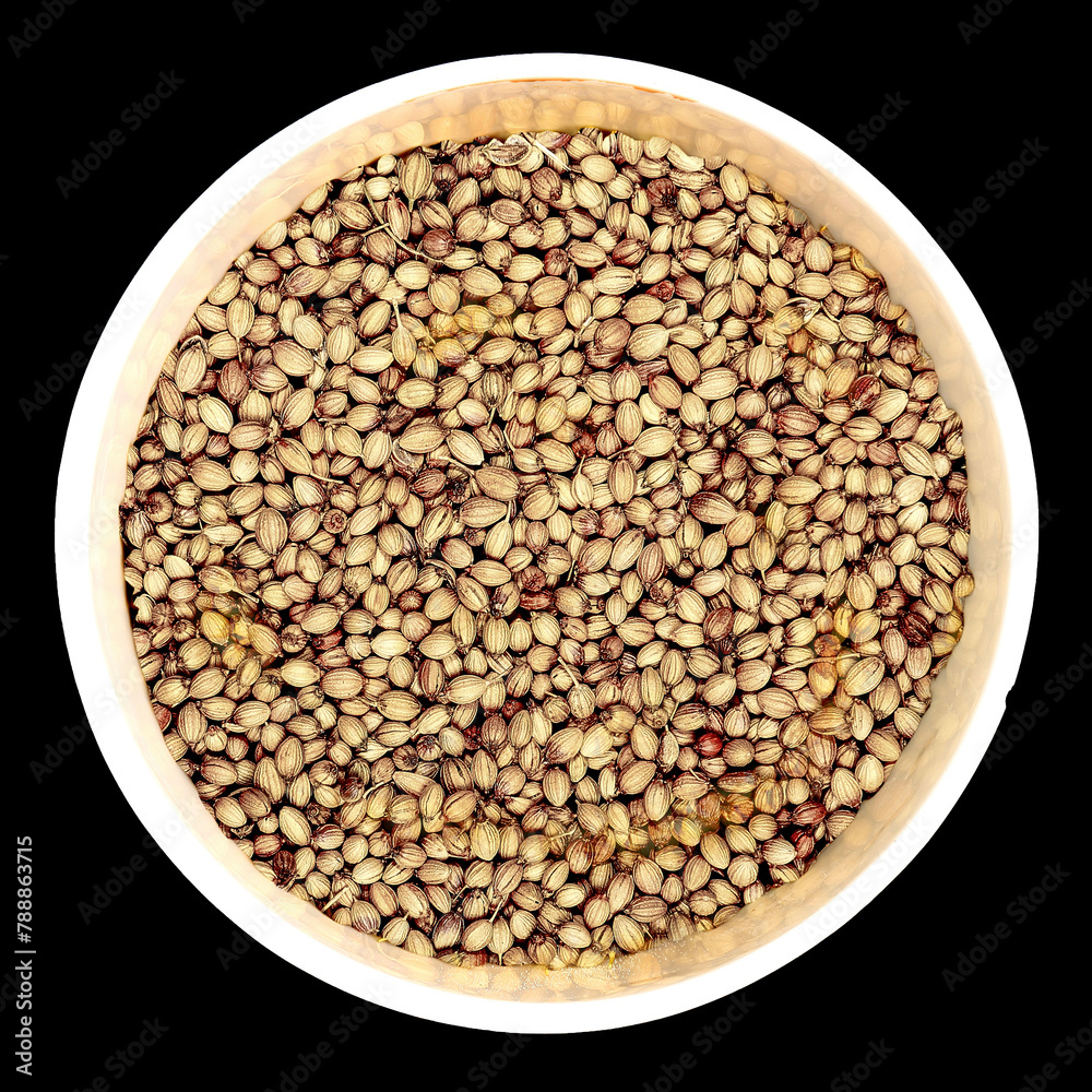 Coriander Seeds Coriander Seeds