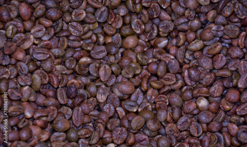Close-up view of coffee beans being manually dried in the sun