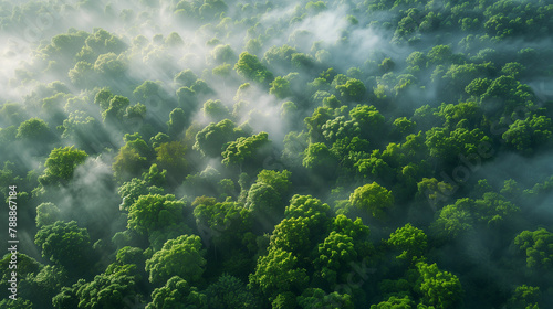 The morning sun pierces through the mist in the lush tropical rainforest. Emphasize the bright green shade of trees in nature.